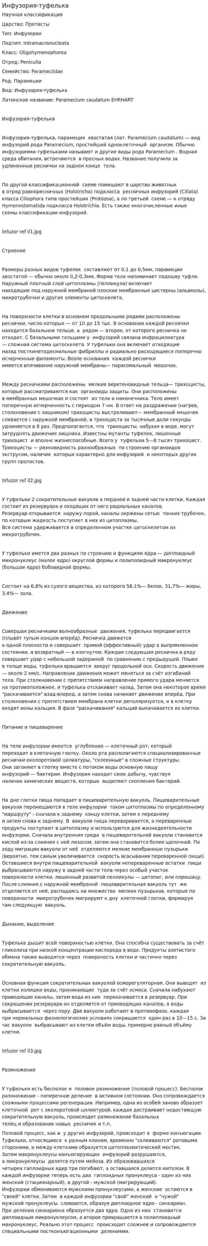 Инфузория-туфелька