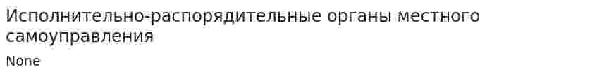 Исполнительно-распорядительные органы местного самоуправления