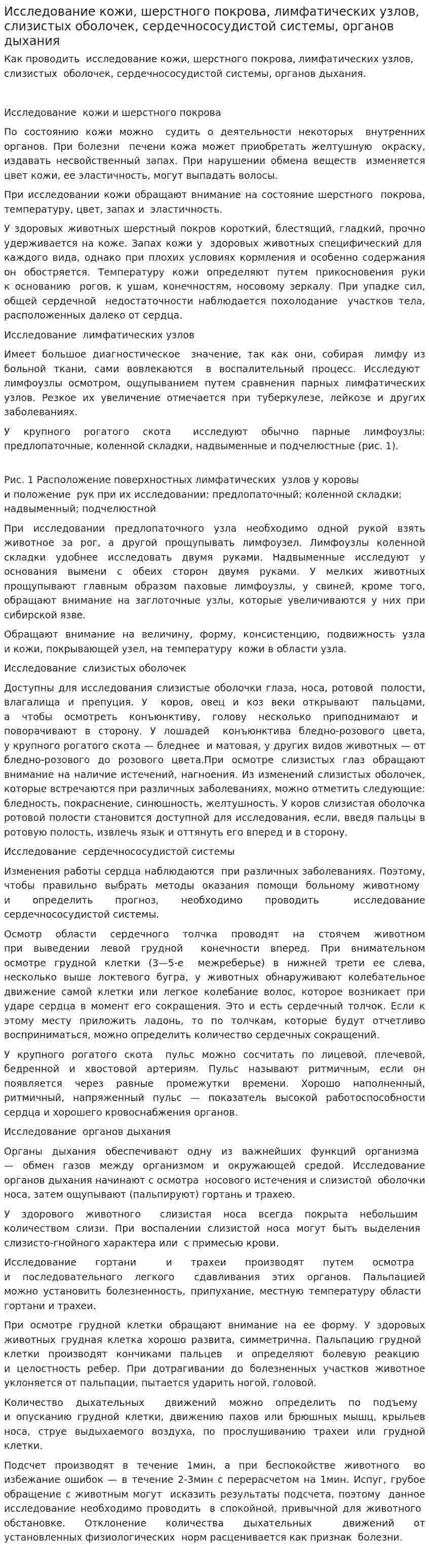 Исследование кожи, шерстного покрова, лимфатических узлов, слизистых оболочек, сердечнососудистой системы, органов дыхания