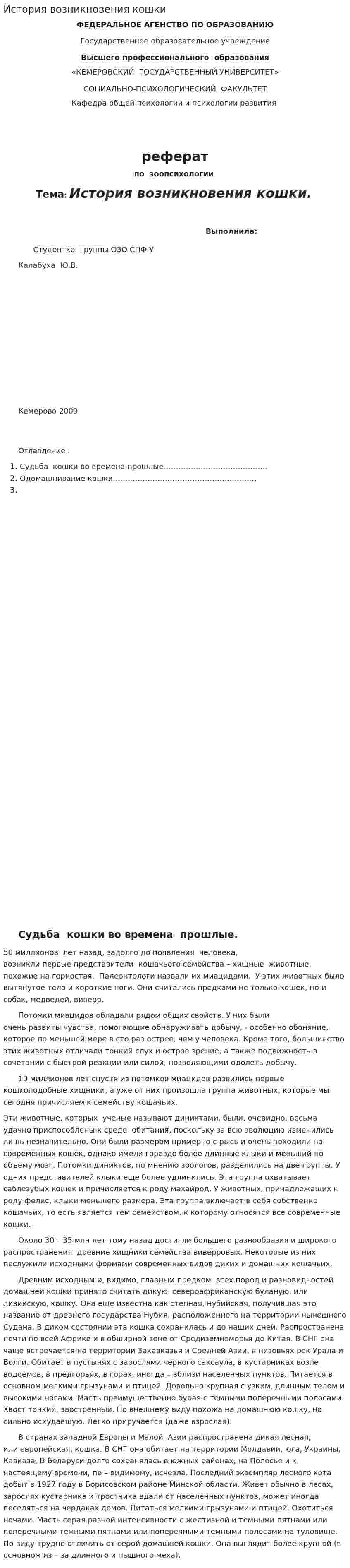 История возникновения кошки