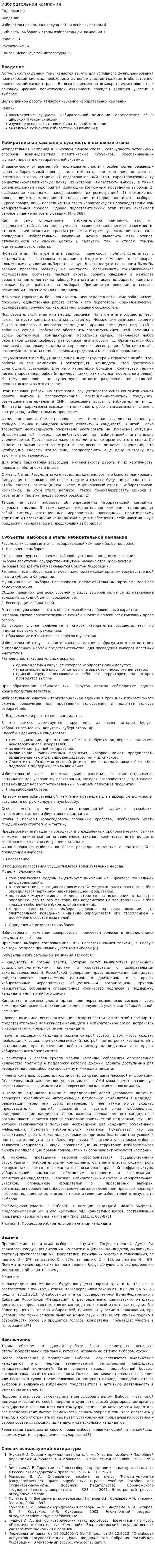 Избирательная кампания. 2