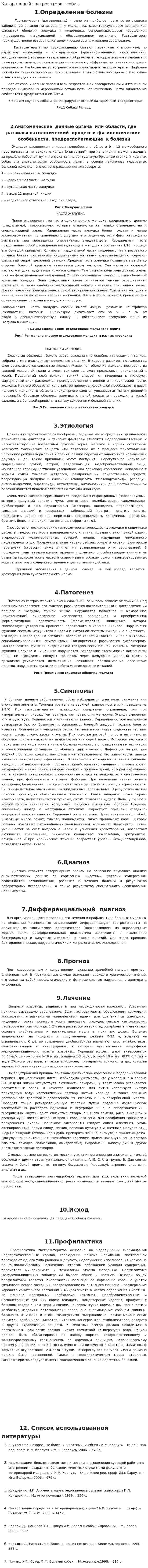 Катаральный гастроэнтерит собак