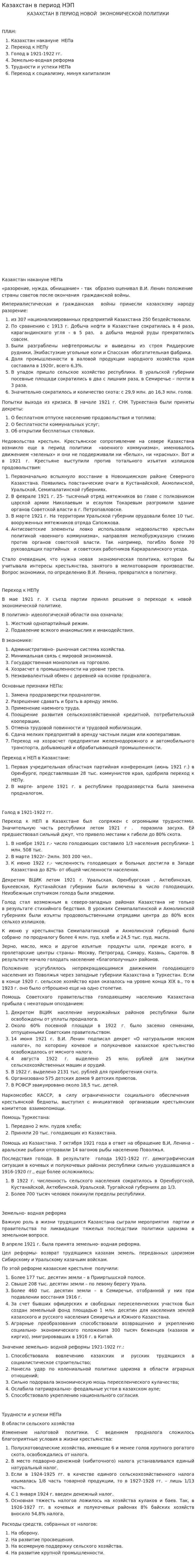 Казахстан в период НЭП