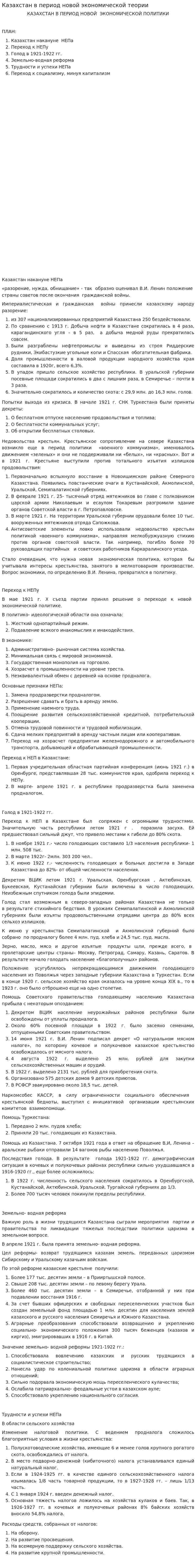 Казахстан в период новой экономической теории