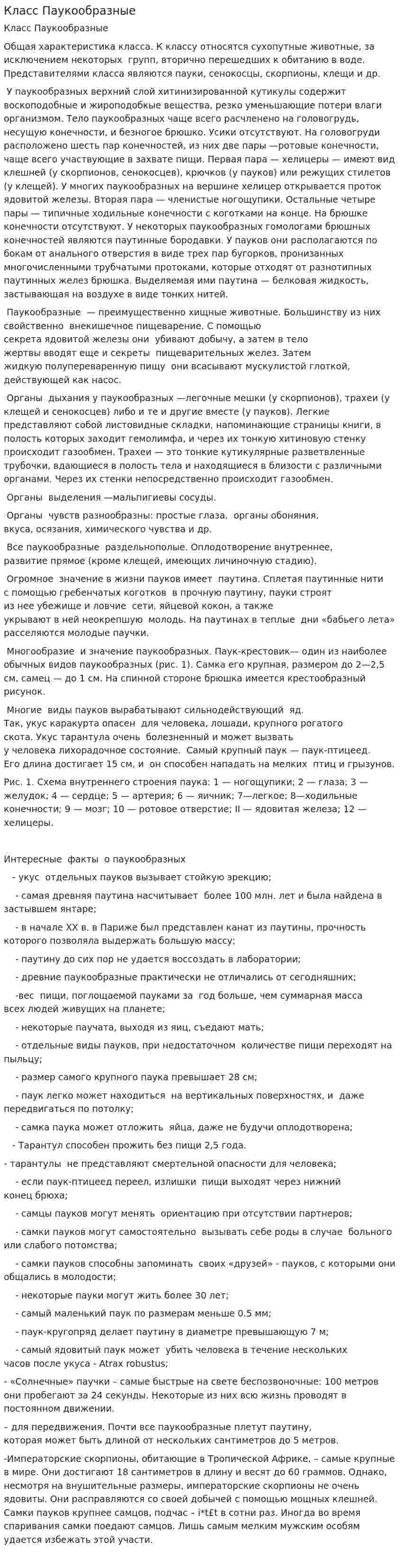 Класс Паукообразные