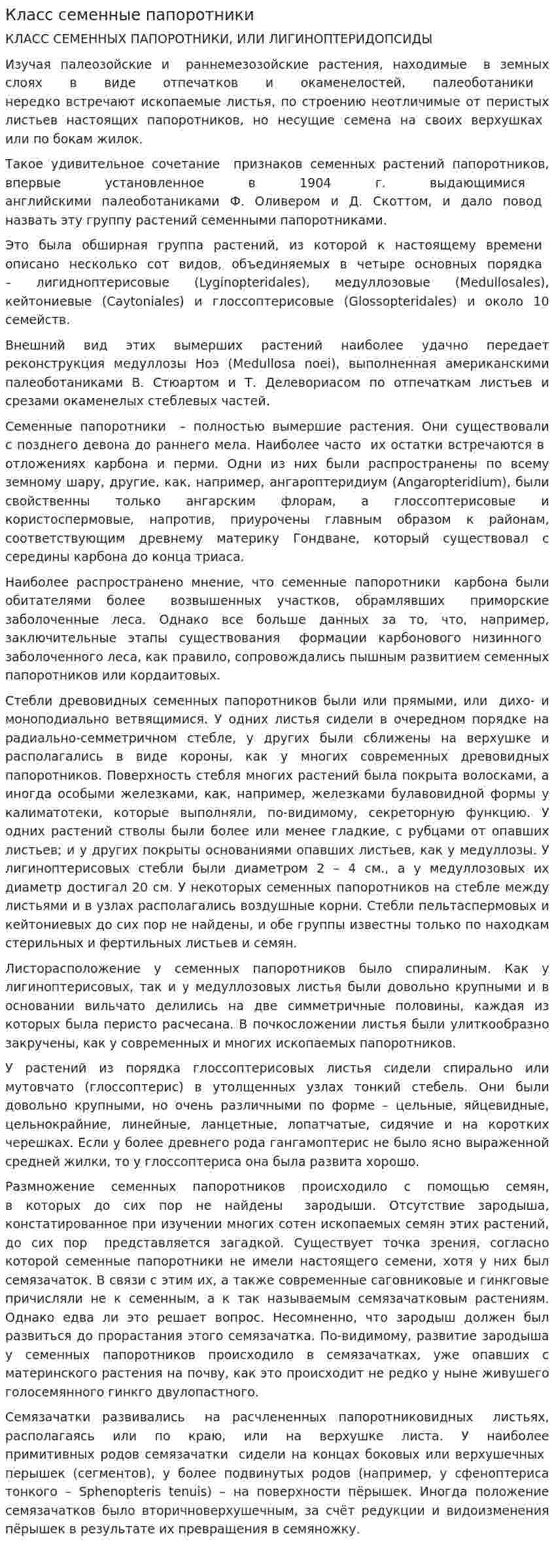 Класс семенные папоротники