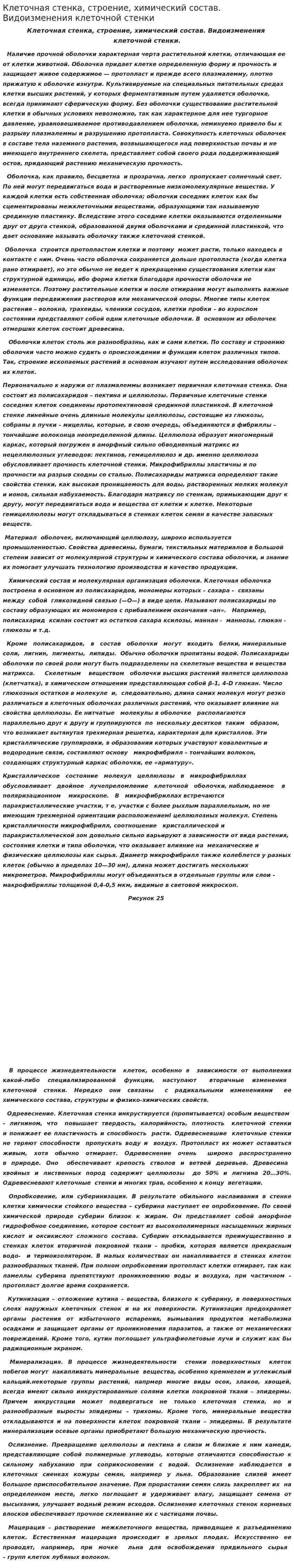 Клеточная стенка, строение, химический состав. Видоизменения клеточной стенки