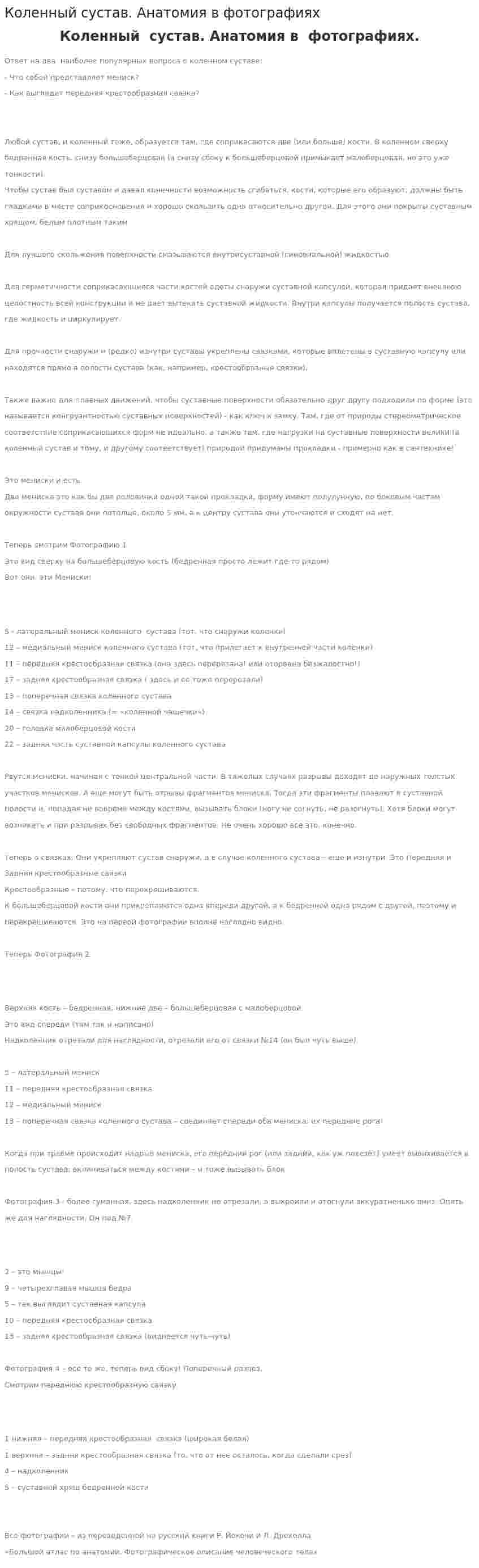 Коленный сустав. Анатомия в фотографиях