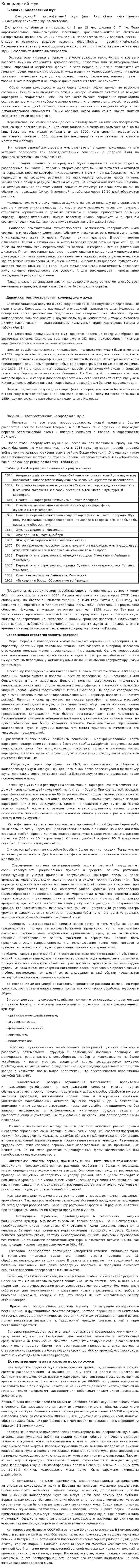 Колорадский жук. 2