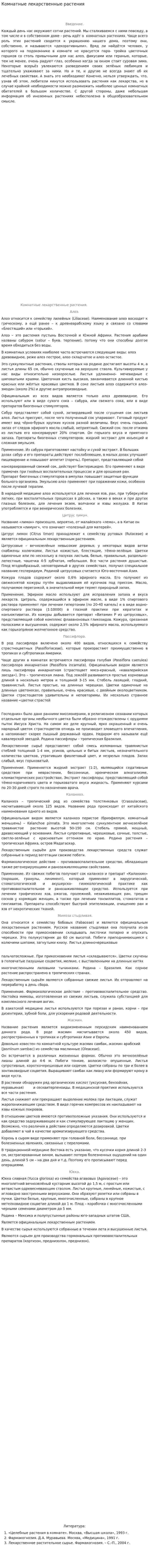 Комнатные лекарственные растения