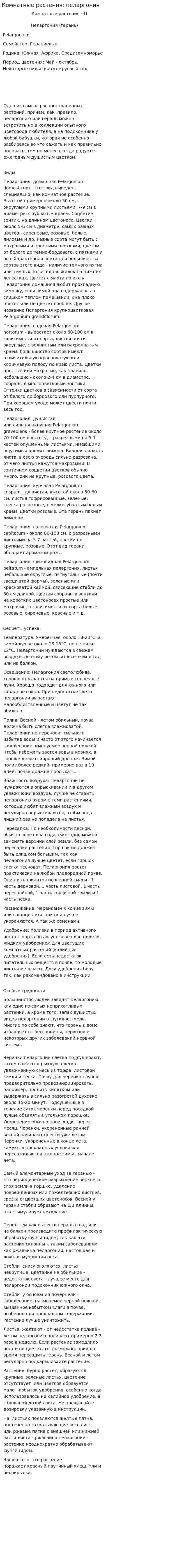 Комнатные растения: пеларгония