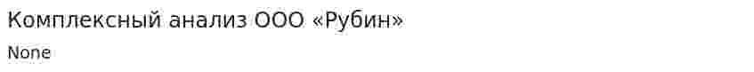 Комплексный анализ ООО «Рубин»