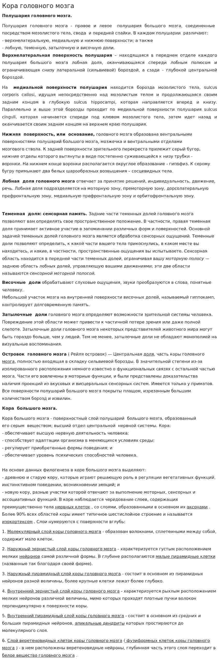 Кора головного мозга