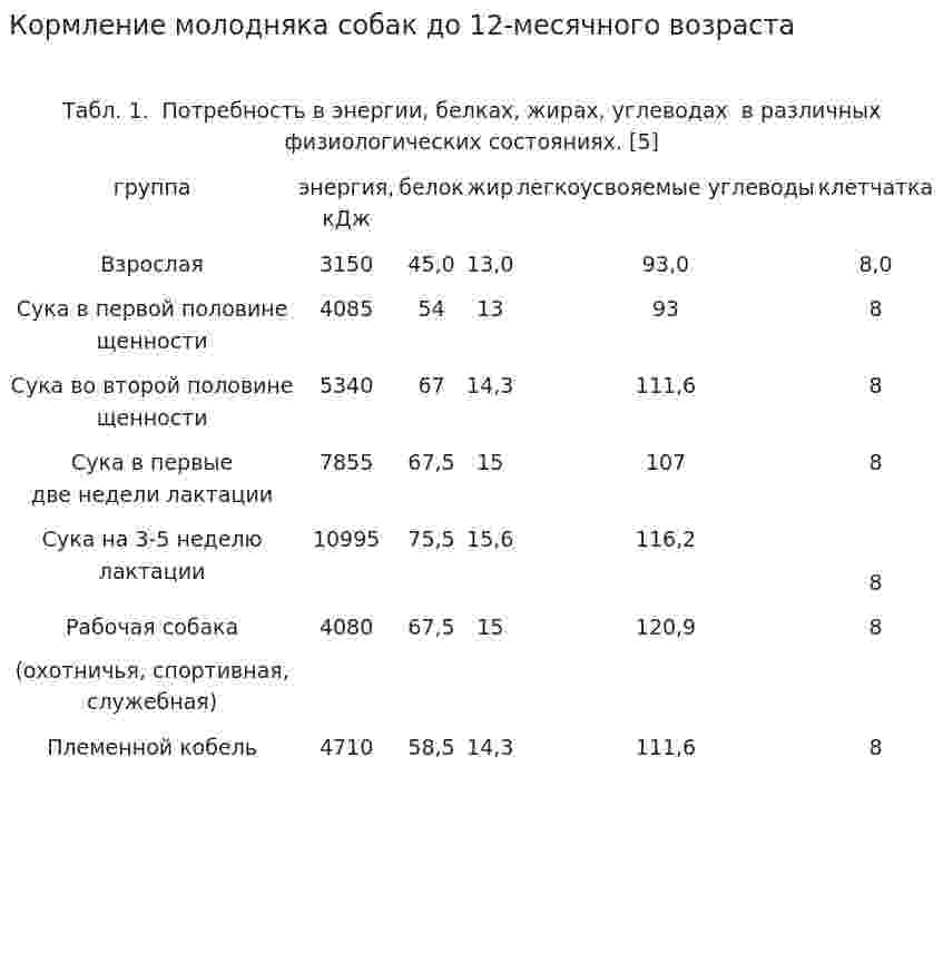Кормление молодняка собак до 12-месячного возраста