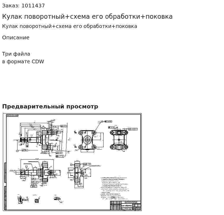 Кулак поворотный+схема его обработки+поковка  