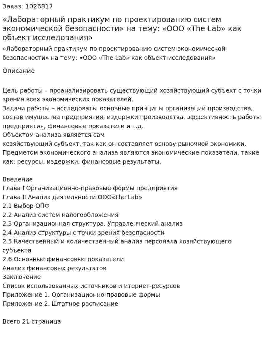 «Лабораторный практикум по проектированию систем экономической безопасности» на тему: «ООО «The Lab» как объект исследования» 