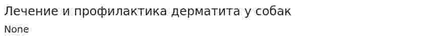 Лечение и профилактика дерматита у собак