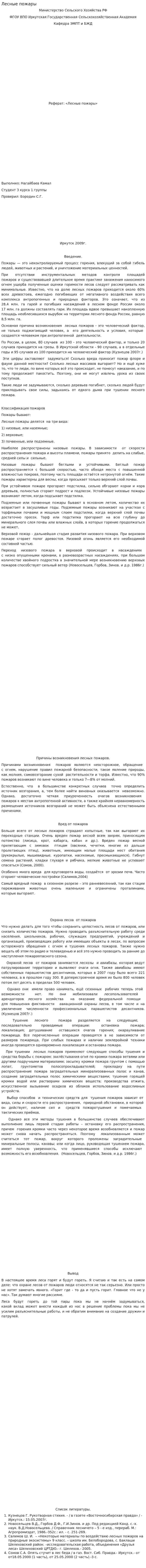 Лесные пожары. 19
