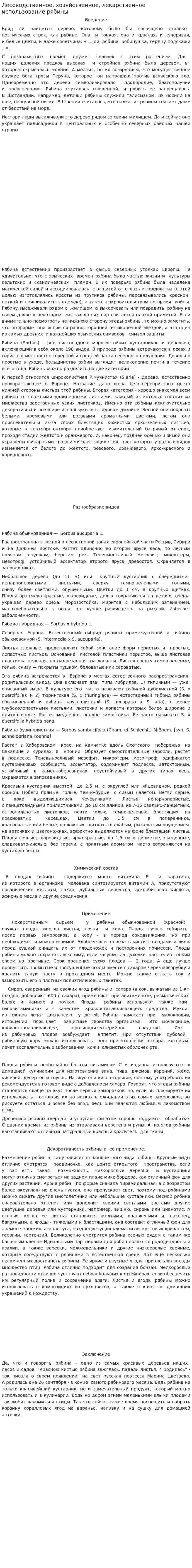 Лесоводственное, хозяйственное, лекарственное использование рябины