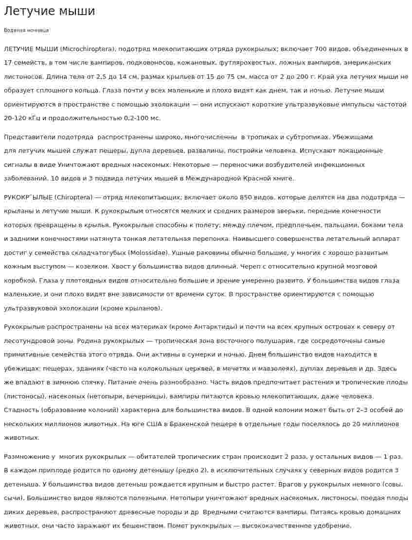 Летучие мыши