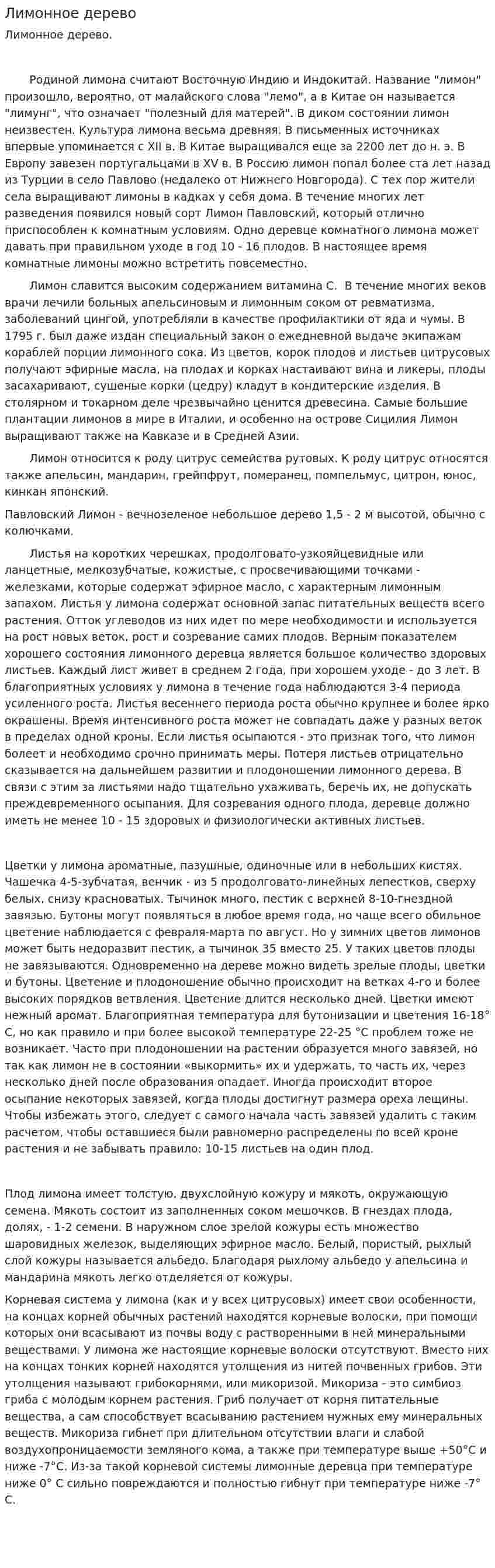 Лимонное дерево