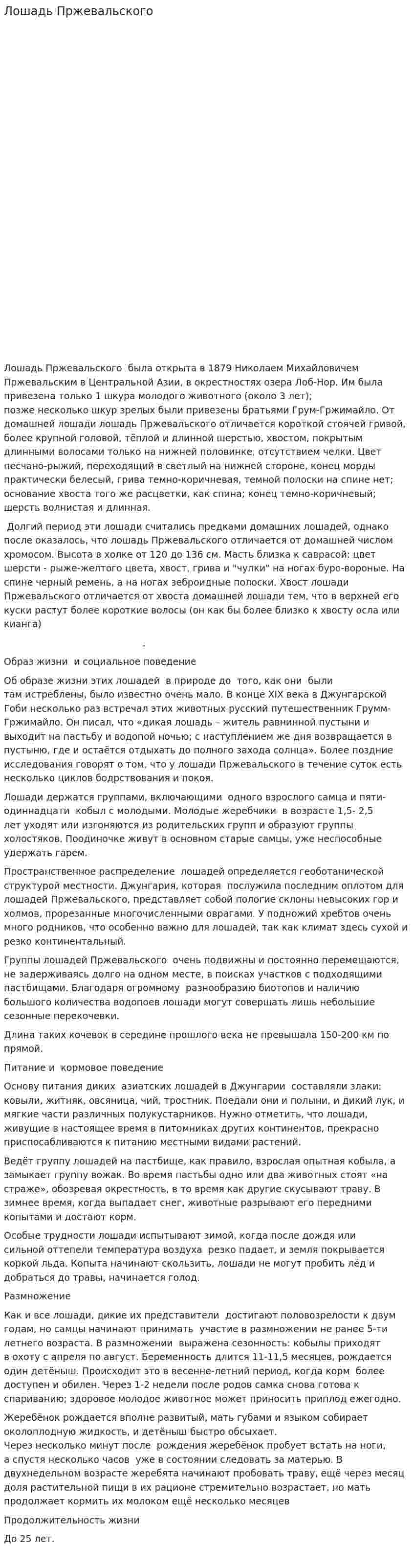 Лошадь Пржевальского. 2