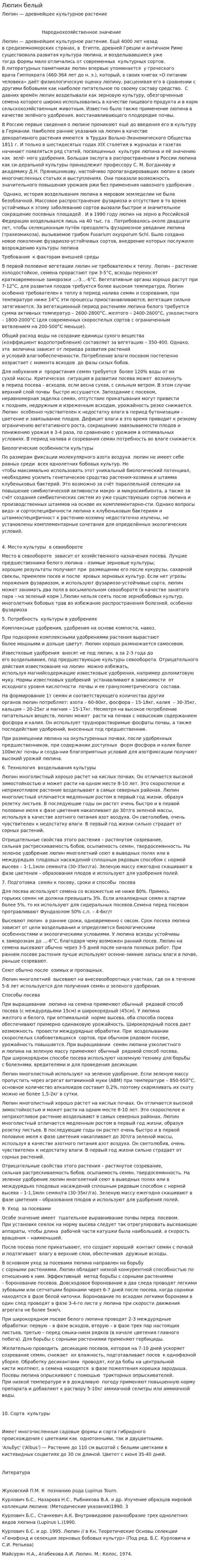 Люпин белый