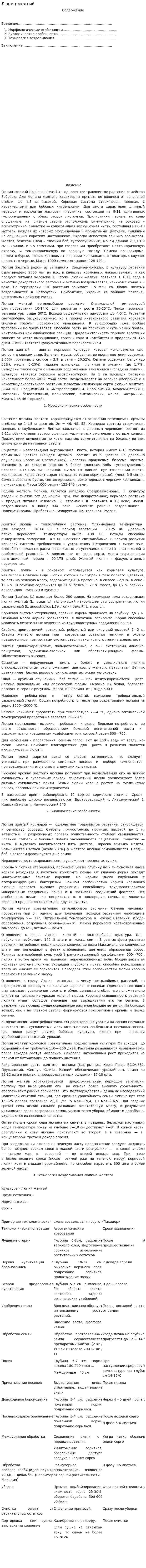 Люпин желтый