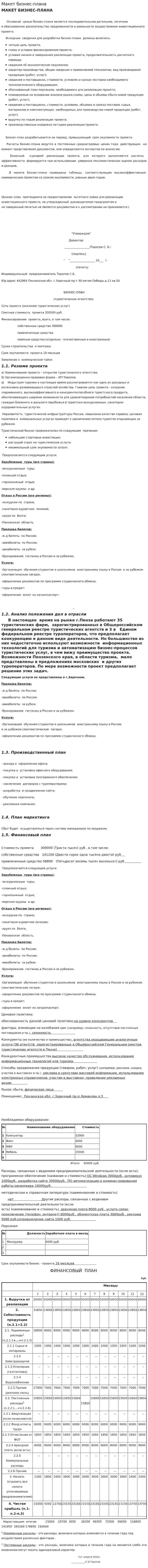 Макет бизнес-плана