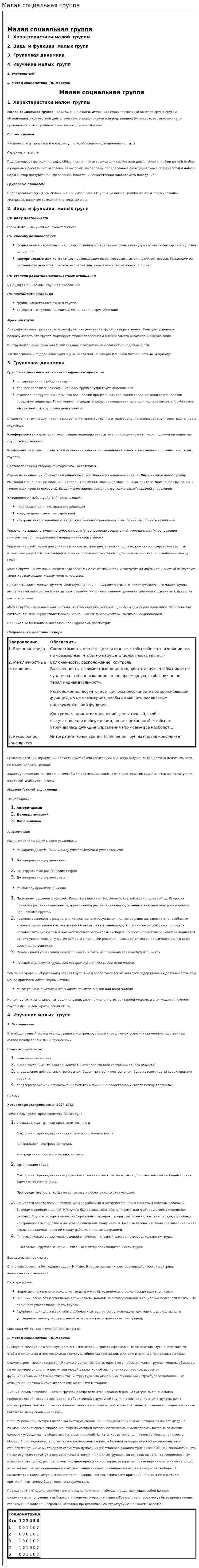 Малая социальная группа