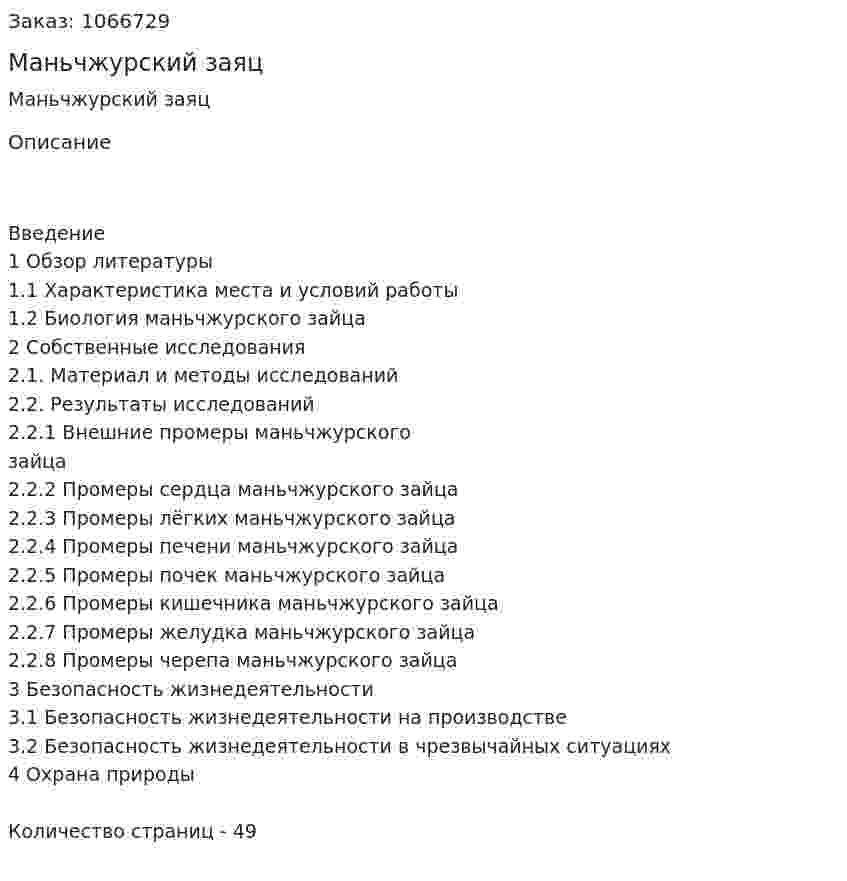 Маньчжурский заяц (курсовая работа) 