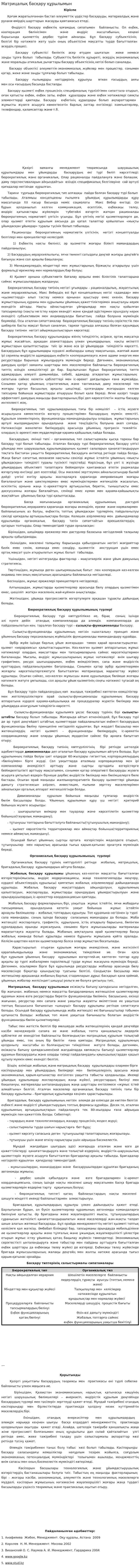 Матрицалық басқару құрылымын