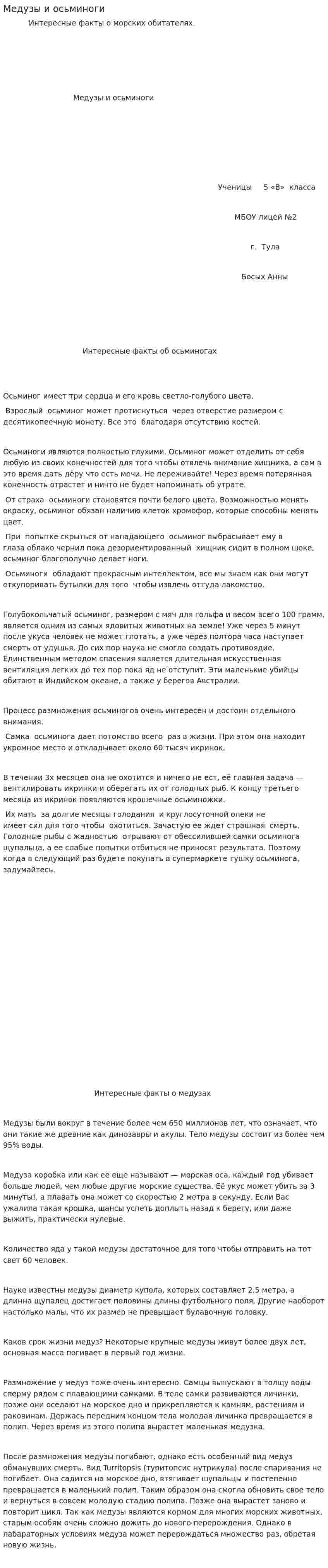 Медузы и осьминоги