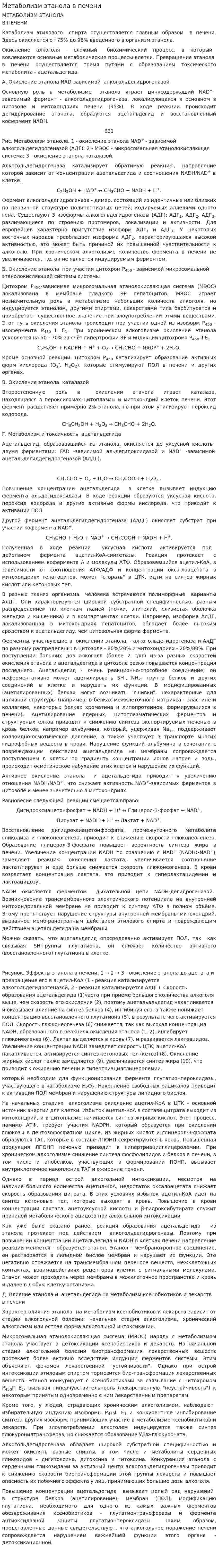 Метаболизм этанола в печени