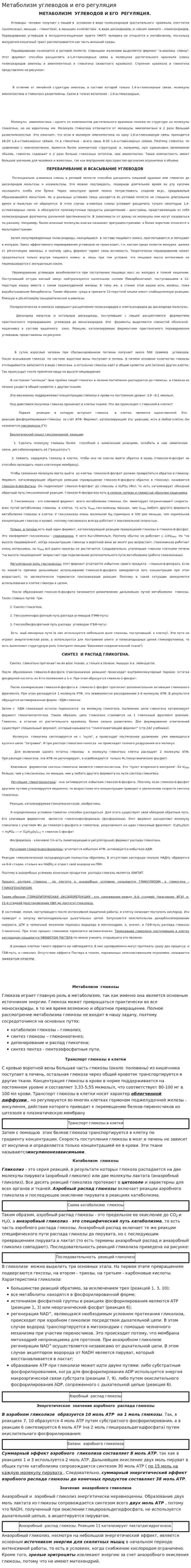 Метаболизм углеводов и его регуляция