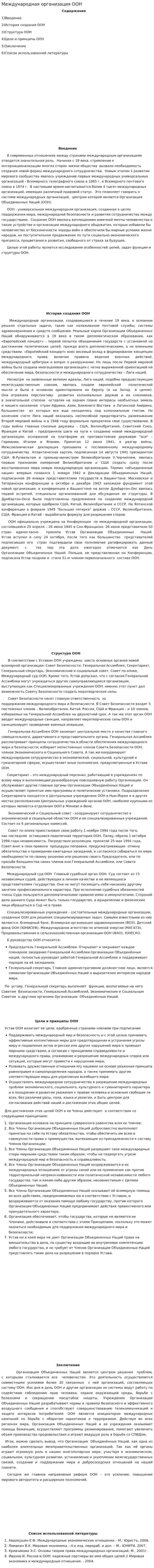 Международная организация ООН