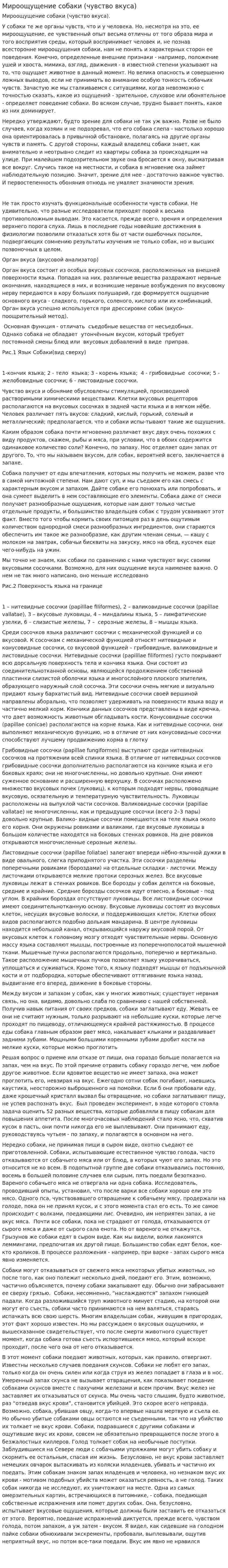 Мироощущение собаки (чувство вкуса)