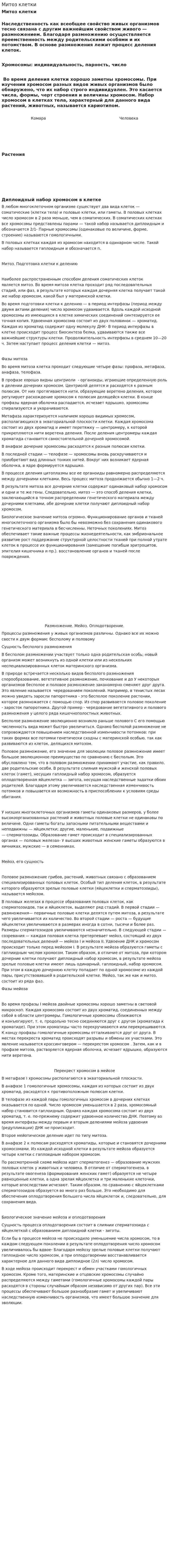 Митоз клетки