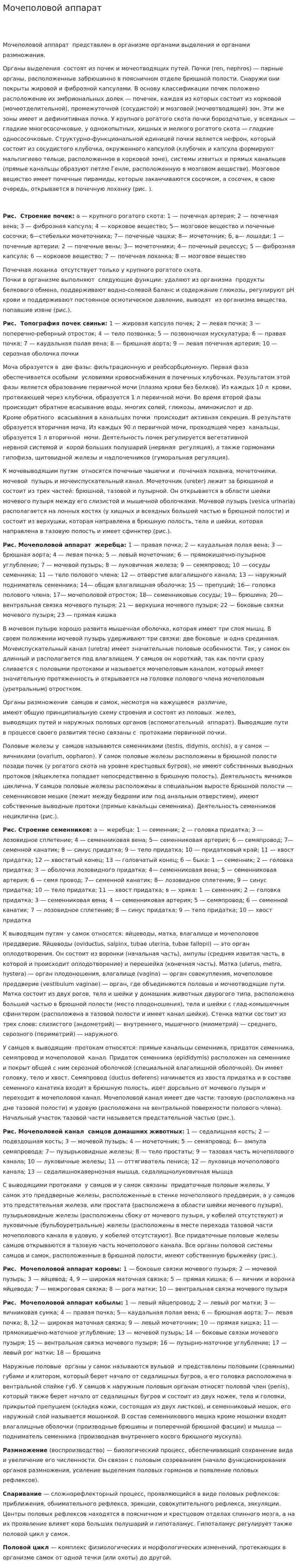 Мочеполовой аппарат