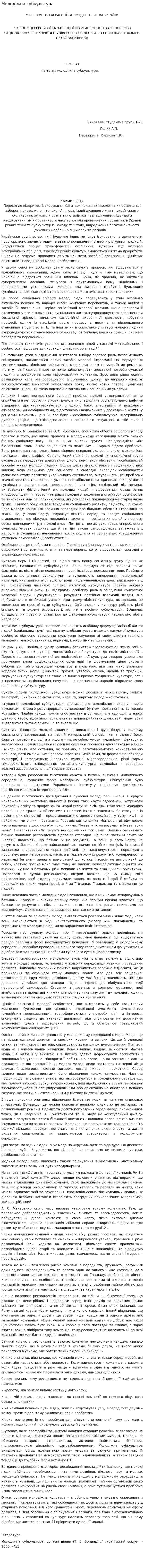 Молодіжна субкультура