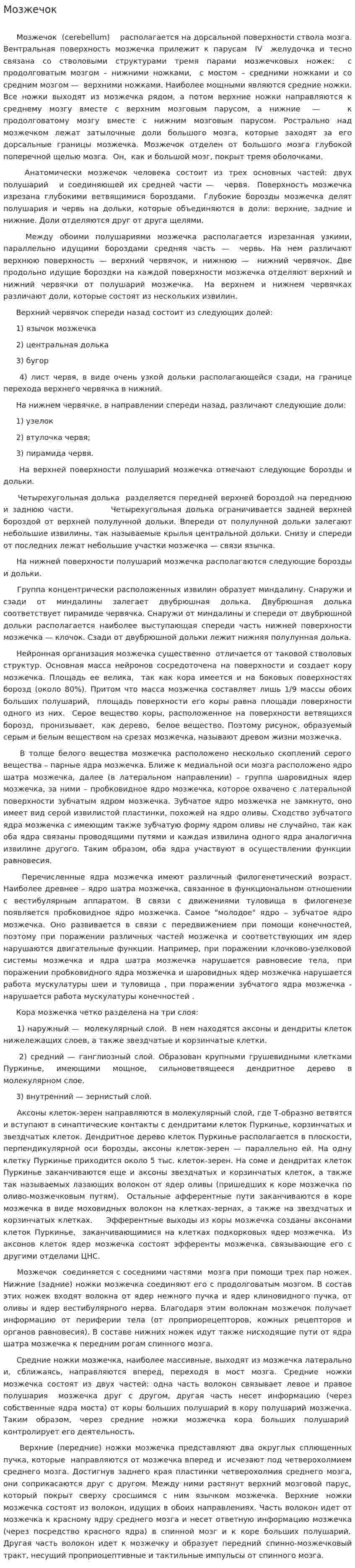 Мозжечок