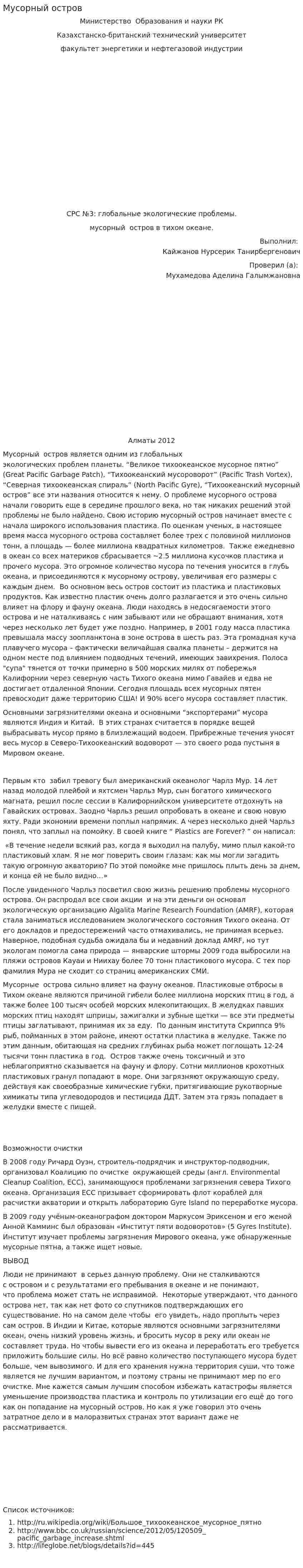 Мусорный остров