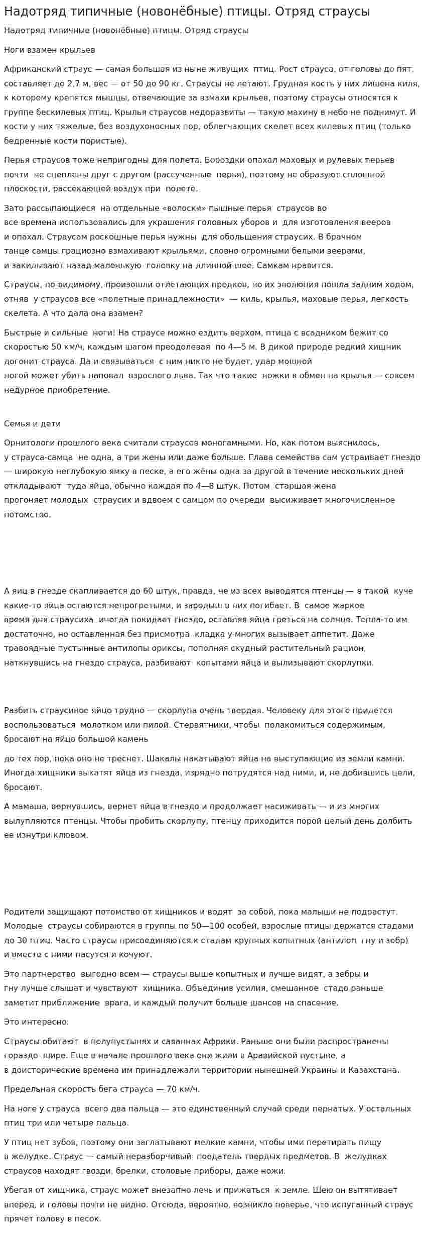 Надотряд типичные (новонёбные) птицы. Отряд страусы