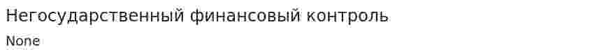 Негосударственный финансовый контроль