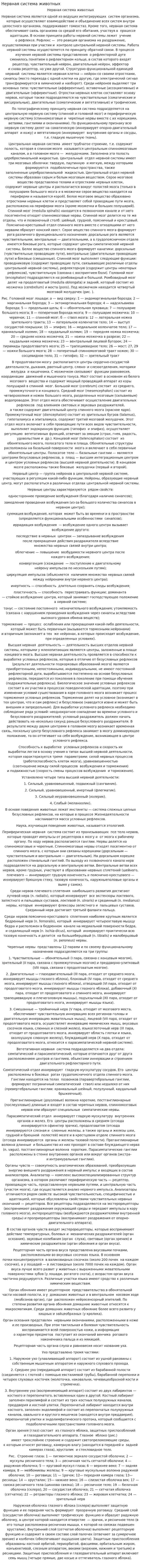 Нервная система животных
