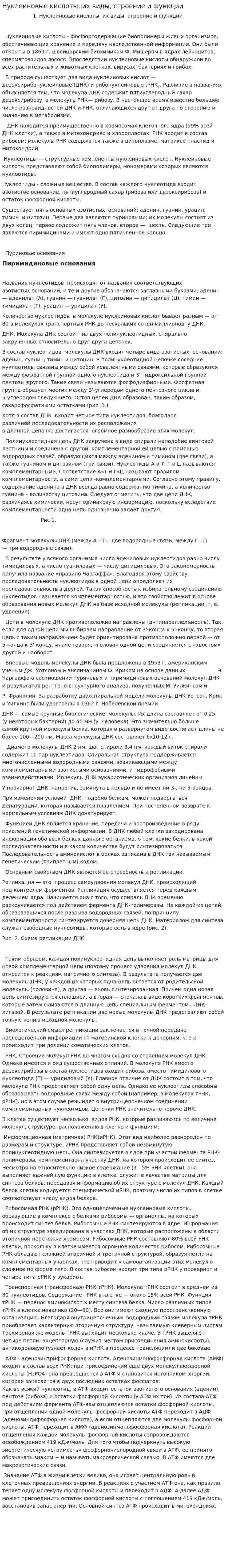 Нуклеиновые кислоты, их виды, строение и функции