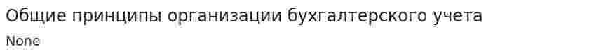 Общие принципы организации бухгалтерского учета