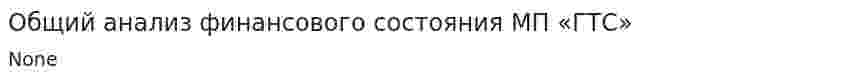 Общий анализ финансового состояния МП «ГТС»
