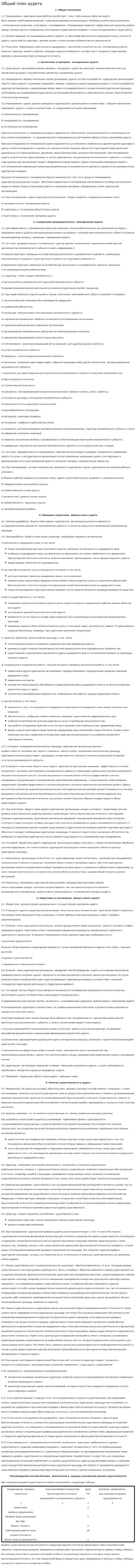 Общий план аудита