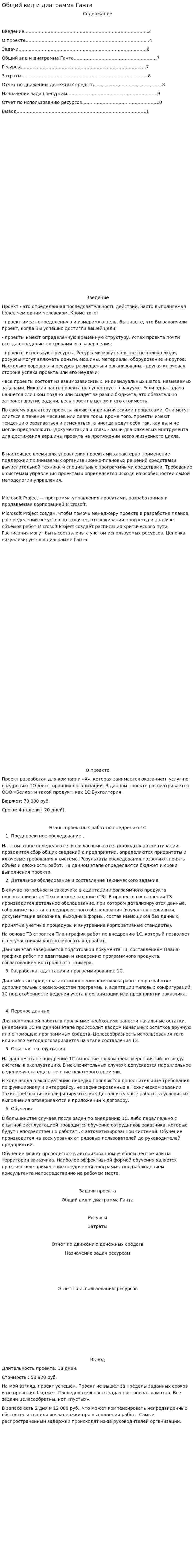 Общий вид и диаграмма Ганта